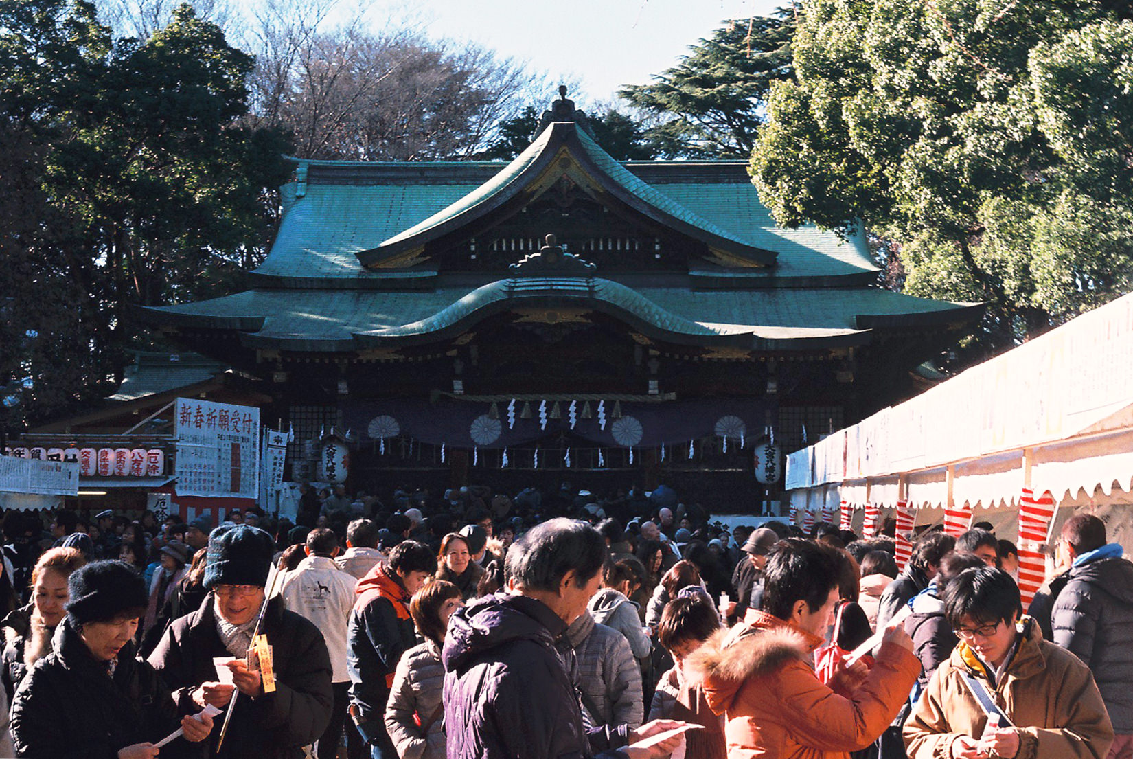A photo of a crowd gathered at a Shinto shrine during Hatsumode.